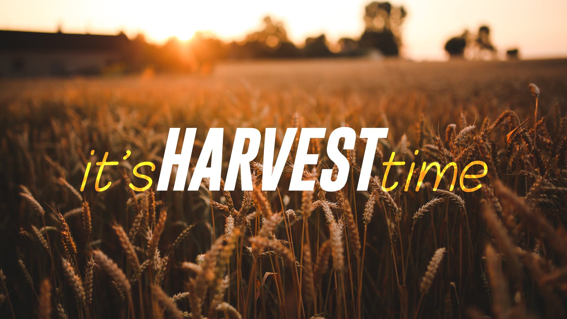 Harvest Time Meaning In English